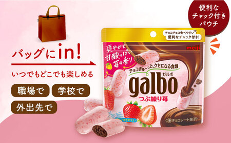 明治 ガルボつぶ練り苺パウチ 58g×48袋セット 丸正高木商店[AOAA029] チョコレートチョコレートチョコレートチョコレートチョコレート