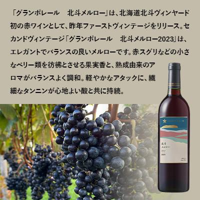 ふるさと納税 北斗市 【サッポロビール発】グランポレール　北斗メルロー2023(日本ワイン・赤)　 |  | 01