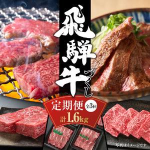 【定期便】飛騨牛（全３回）（ステーキ /焼肉 / ブロック[塊] ) 計1.6kg 全3回 | 焼肉 ステーキ カルビ 牛 定期  飛騨高山ミート MZ101