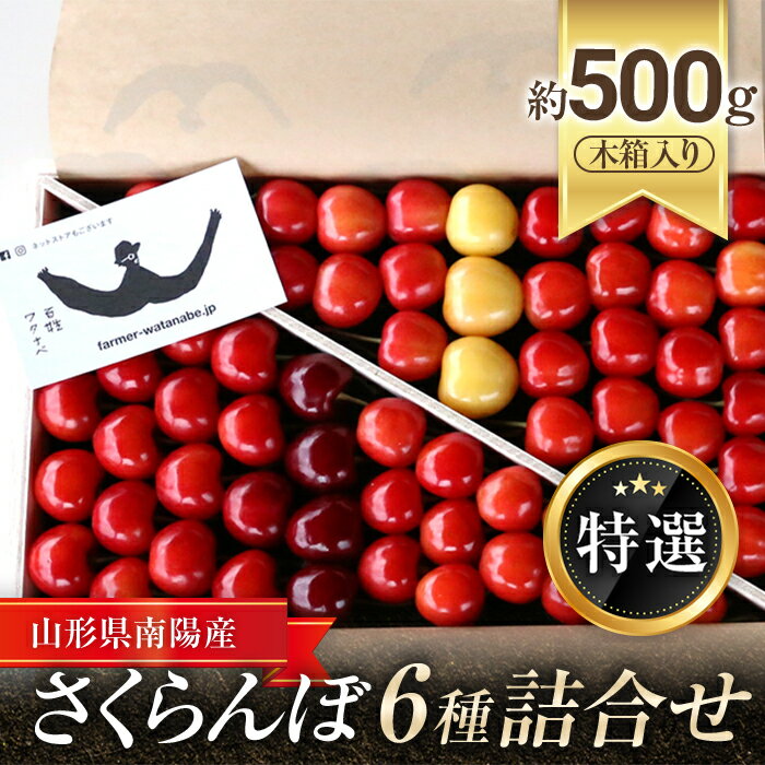 【ふるさと納税】 【令和8年産先行予約】 さくらんぼ 6種詰合せ 約500g (特選 木箱入り) 《令和8年6月中旬～発送》 『最上園』 さくらんぼ サクランボ 6種 詰合せ セット さがえ大将錦 紅秀峰 サミット 佐藤錦 紅夢鷹 子夏 山形美人 絢のひとみ 予約 山形県 南陽市 [681]