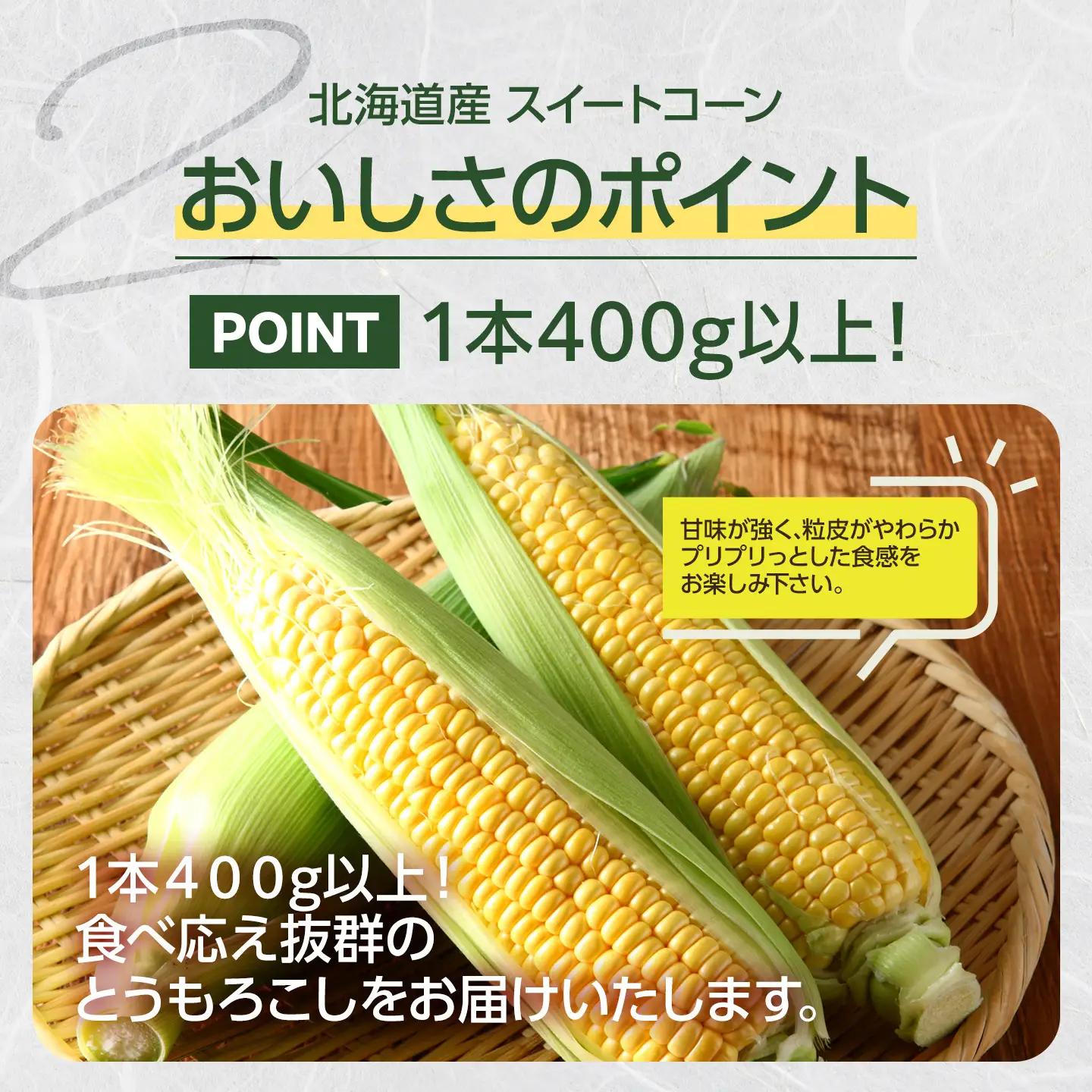 【2026年発送】【先行予約】【数量限定】北海道産スイートコーン　１０本入　 ｜ コーン