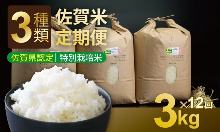 
            【定期便】令和7年産 (12ヶ月連続お届け)  田中農場 特別栽培認定 佐賀米3kg X 12回コース 
          