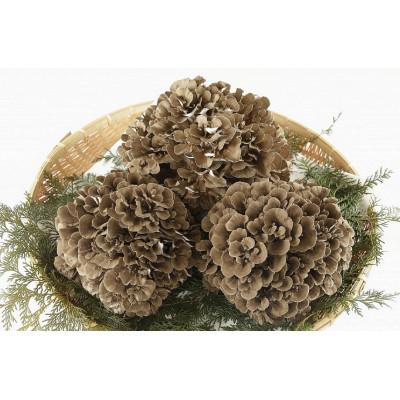 ふるさと納税 吉岡町 まいたけ粉末(30g×3袋) |  | 03