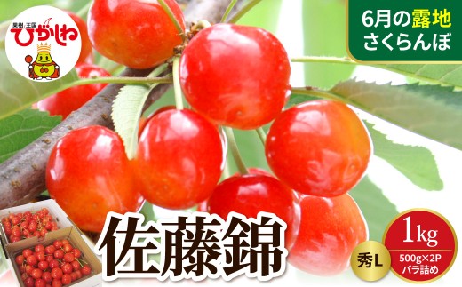 【2027年産 先行予約】 東根産さくらんぼ佐藤錦 秀L 1kgバラ詰め (500g×2P) 山形県 東根市 晴天畑提供 hi026-050-r9 さくらんぼ サクランボ フルーツ 果物 くだもの 期間限定 冷蔵配送 先行予約 取り寄せ グルメ ご当地