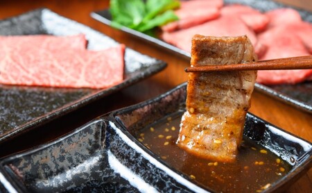 牛肉 A4〜A5 くまもと 黒毛和牛 焼肉 牛肉【500g】