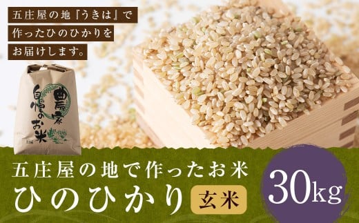 【特Aランク米】五庄屋の地で作ったお米 ひのひかり 玄米 (30kg) 【2025年10月下旬より順次発送予定】 ヒノヒカリ こめ コメ ごはん ご飯 福岡県うきは市産 九州産