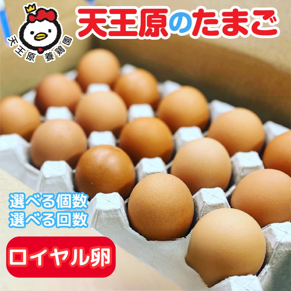【ふるさと納税】 天王原のたまご ロイヤル卵 選べる個数 「30個 /50個/160個」選べる回数 「 3回/6回/12回」たまご 卵 玉子 タマゴ 濃厚 食べ比べ ハリ 弾力 ボリューム 甘味 旨味 卵黄 卵かけご飯 卵焼き 目玉焼き オムレツ 茶碗蒸し お菓子作り パンの材料