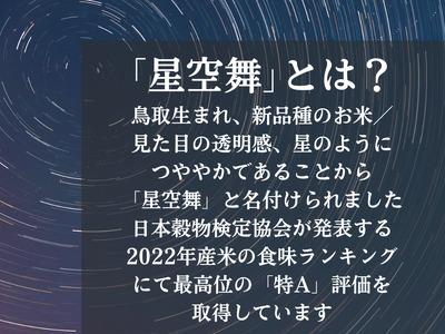 星空舞 お米 5kg×2袋 計10キロ 鳥取県産 精米 JA こめ コメ 令和5年産新米 0536