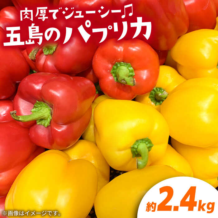 【ふるさと納税】【肉厚ジューシー】五島のパプリカ 約2.4kg 五島市/HPIファーム [PCP009] 野菜 やさい 国産 新鮮 緑黄色野菜 産地直送 とれたて