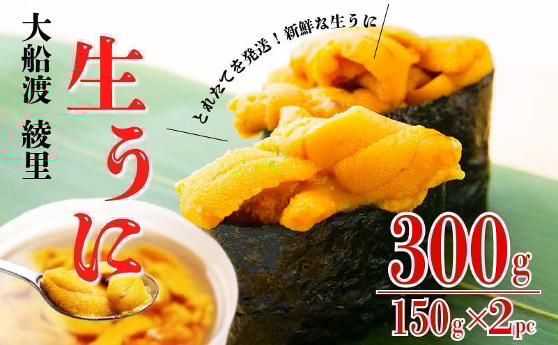 
            【期間限定】 水揚げ日発送 綾里の生うに 300g (150×2パック) 数量限定 無添加 ミョウバン不使用 岩手県産 冷蔵 ムラサキウニ [ 季節限定 生うに 生雲丹  天然 海鮮丼 寿司 ウニ丼 刺身 ]
          