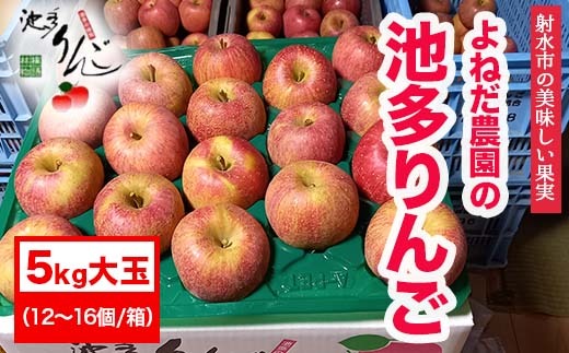 【射水のおいしい果実】【林檎】 よねだ農園の池多りんご サンふじ 5kg大玉（12～16個／箱） ※沖縄・離島への配送不可 ※2025年11月中旬～12月中旬頃に順次発送予定