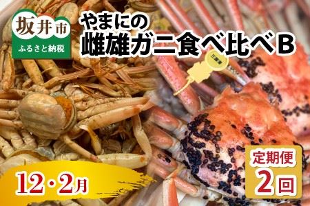 【先行予約】【年2回定期便】越前がに・せいこがに食べ比べコースB（12月・2月発送） [G-4354]