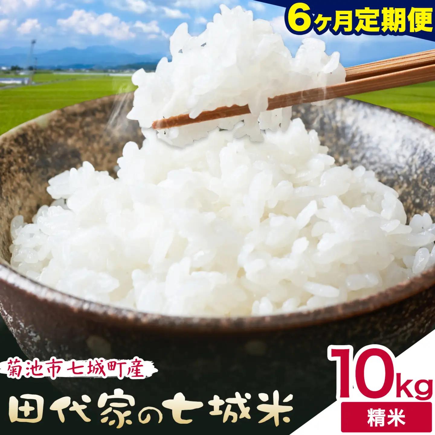 【6ヶ月定期便 】令和7年産 菊池市七城町産 田代家の七城米 七城ヒノヒカリ 白米 10kg 田代こめや《お申し込み月の翌月から出荷開始》熊本県 菊池市 米 お米 精米 ひのひかり 菊池市産 熊本県産 九州産 送料無料