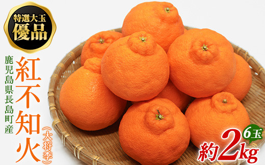 
            【先行予約】特選大玉 優品紅不知火（大将季） 6玉入り 約2kg【山上農園】yamagami-776R7
          
