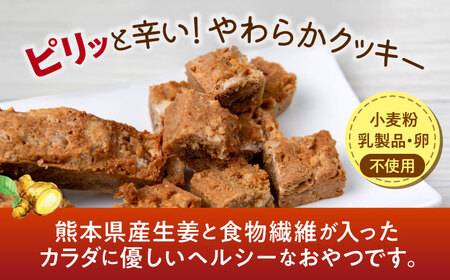 ほんきのしょうが おなかクッキー10袋セット【ジンジベル】[AYAD008]
