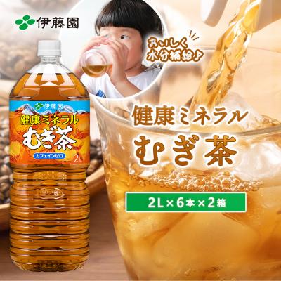 ふるさと納税 恵庭市 健康ミネラル麦茶2L×6本×2箱【50000401】