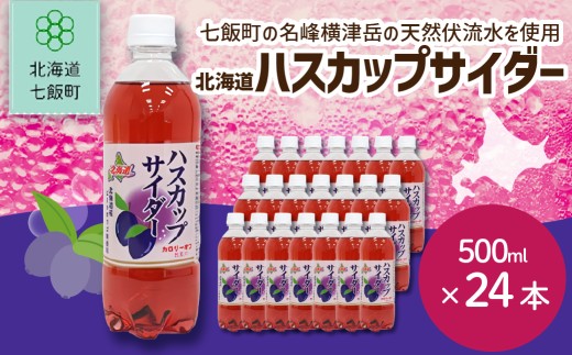 ハスカップサイダー24本（500mlペットボトル） 【 ふるさと納税 人気 おすすめ ランキング ハスカップサイダー 北海道代表 ご当地 北海道 七飯町 送料無料 】 NAQ009