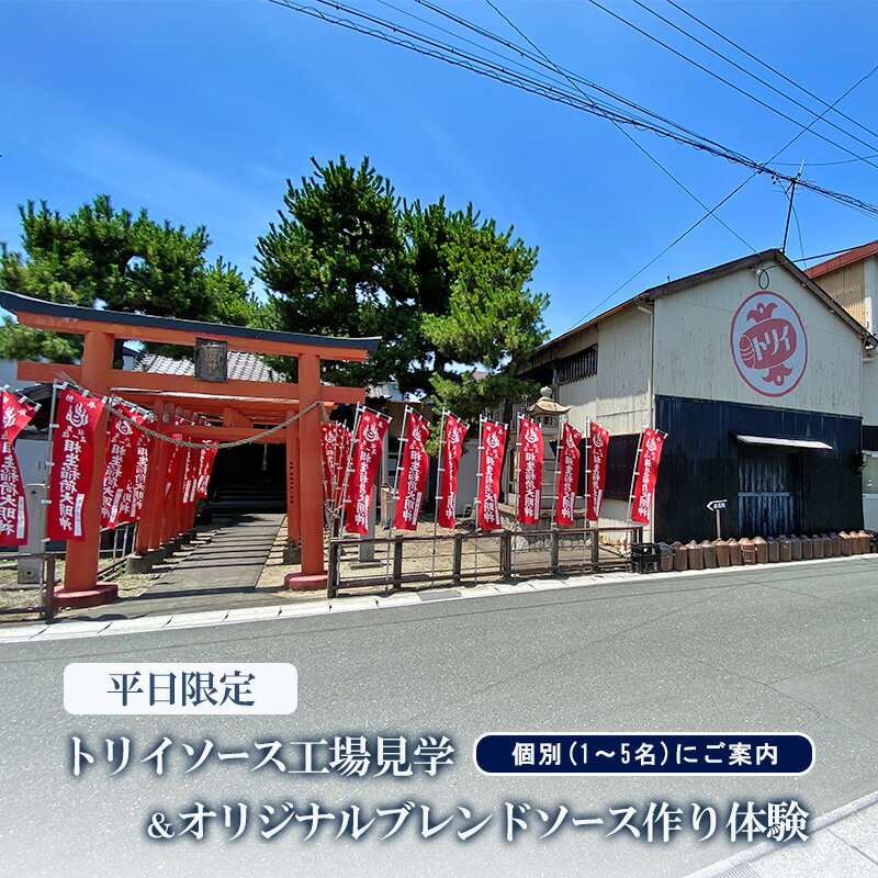 【ふるさと納税】工場見学 【平日限定】個別 1～5名 ご案内 トリイソース オリジナルブレンドソース作り体験 チケット ボトル付き 体験型観光 浜松市 静岡 直売所