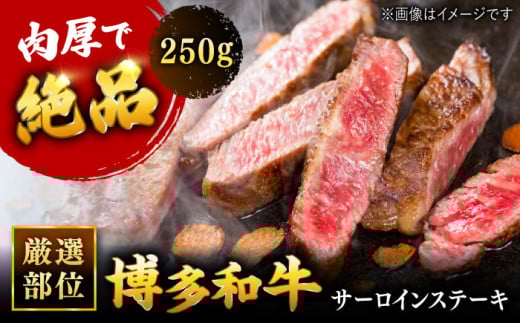 博多和牛 サーロイン ステーキ 250g[250g×1枚]  ▼ 国産牛 黒毛和牛 サーロイン ステーキ  肉  牛ステーキ 赤身 桂川町/株式会社 MEAT PLUS[ADAQ004]