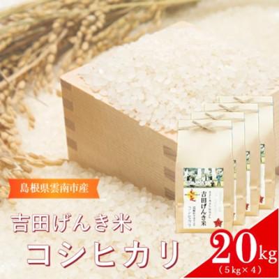 ふるさと納税 雲南市 島根県雲南市産　吉田げんき米　コシヒカリ　20kg(5kg×4)