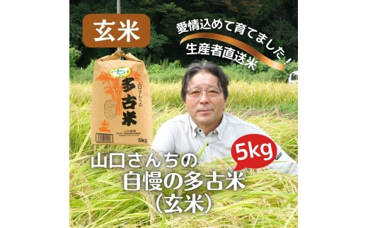 ＜毎月定期便＞山口さんちの多古米コシヒカリ(玄米)5kg全6回 TAKF015