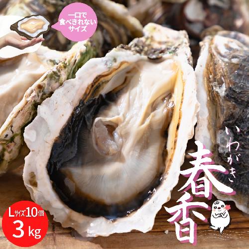 【旨味そのまま！】海士のいわがき殻付きLサイズ×10個（3kg～4kg）◆ナイフ付き