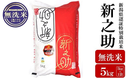 【令和6年産新米】新之助 無洗米 5kg 新潟県認証特別栽培米 お米 新潟県産 [Y0367]