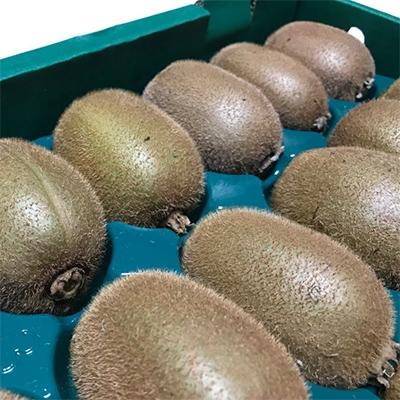 ふるさと納税 海南市 【大人気】厳選 キウイフルーツ(秀品) 約3.6kg
