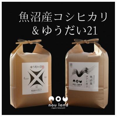 ふるさと納税 十日町市 魚沼産コシヒカリ&amp;ゆうだい21　各5kg×1セット(精米)
