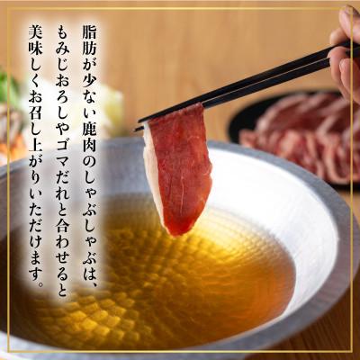ふるさと納税 海陽町 【阿波ジビエ】鹿スライス 約1.5kg (500g×3P) |  | 01