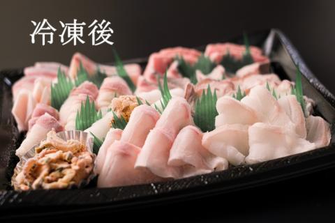 (1415)【定期便】 刺身 新鮮 盛り合わせ 仙崎発旬のお刺身盛合せ2-3人前 3D冷凍 長門市 隔月発送 全3回