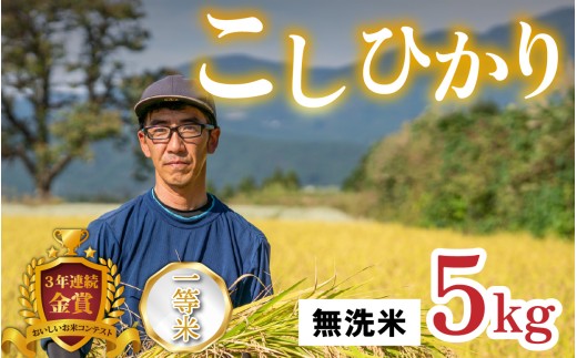 【令和8年産 新米】越前大野産 一等米 帰山農園の棚田育ちコシヒカリ 無洗米 5kg × 1袋