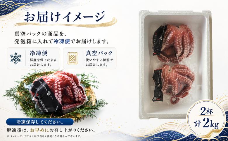 【北海道根室産】柳蛸ボイル2杯(計2kg) B-20012