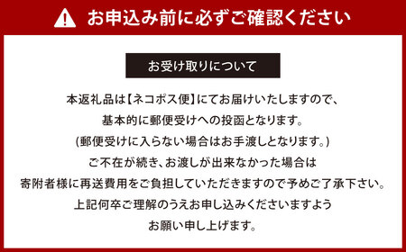 北九州市の地図情報会社のゼンリンが作る地図柄ノート 5冊 セット （北九州市、福岡市、長崎市、古ちず） 地図柄 4冊 日本古地図柄 1冊 ノート 地図柄ノート 地図柄文具 マップデザイン