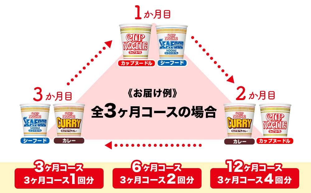【頒布会12か月】日清　カップヌードルシリーズ2種20個（各10食）