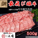 【ふるさと納税】【最飛び雌牛】飛騨牛A5等級モモ焼き肉用　500g【配送不可地域：離島】【1520153】