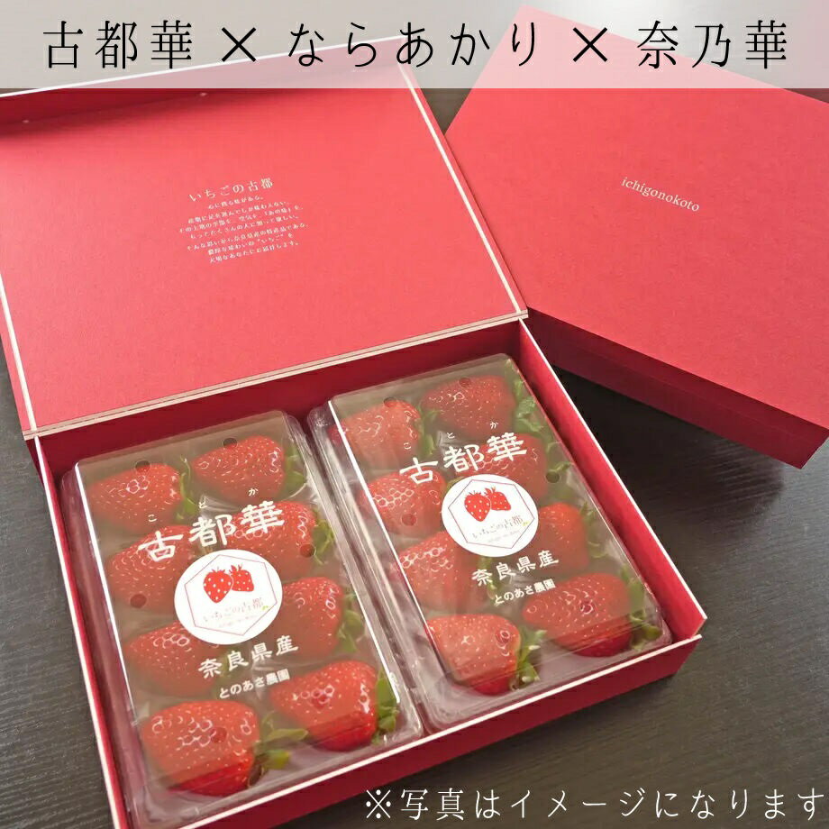 【ふるさと納税】【奈良県知事賞受賞】【食べ比べセット：ギフトボックス】古都華（ことか）2パック・ならあかり1パック・奈乃華1パック｜とのあさイチゴ農園 ※2025年1月中旬～5月上旬頃に順次発送予定