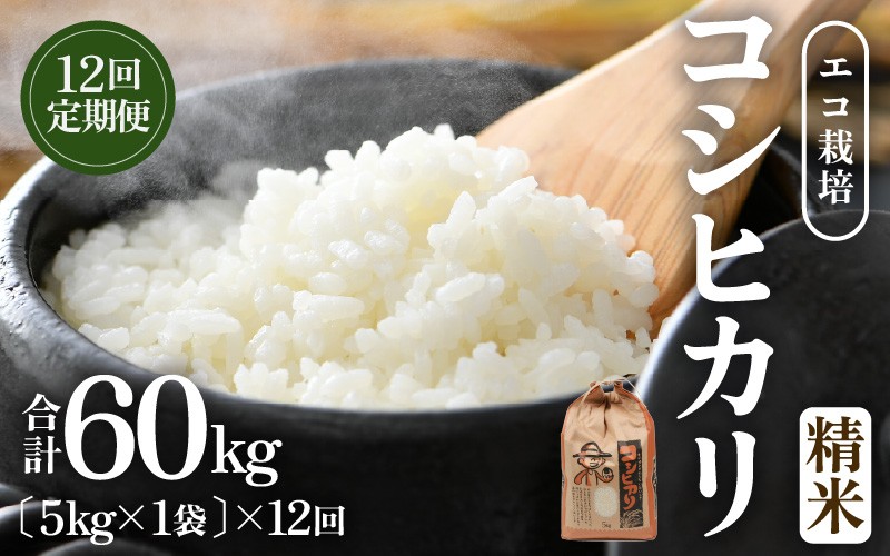 
                  【先行予約】【令和8年産 新米】【一等米】定期便 ≪12ヶ月連続お届け≫ エコ栽培コシヒカリ  白米5kg×12回 計60kg ／ 鮮度抜群 福井県産 こしひかり ご飯 新鮮 白米 ※2026年10月上旬以降順次発送 [aw063-j008]
                
