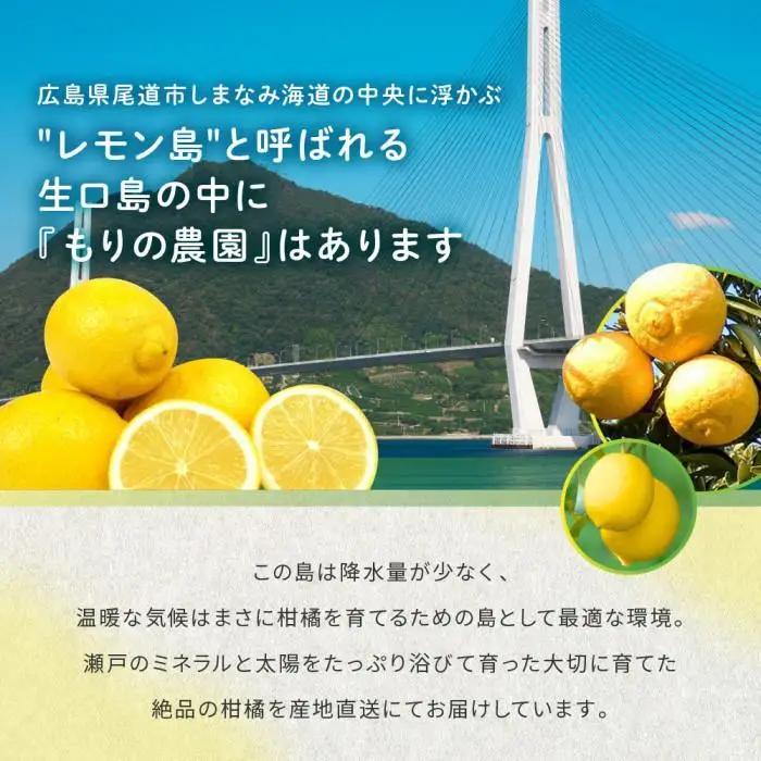 【有機JAS認証】レモン島からお贈りするオーガニックレモン 5kg 有機レモン 2月以降発送予定 産直 国産 有機栽培