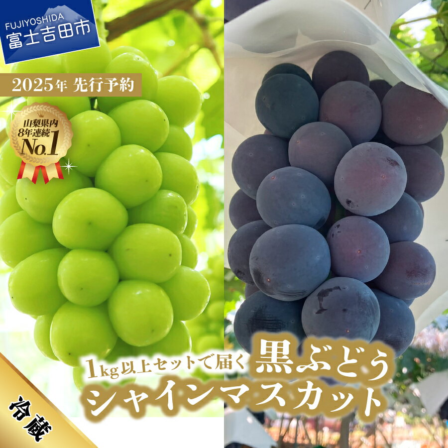 【ふるさと納税】 送料無料 シャインマスカット 黒ぶどう ふるさと納税 1kg以上 セット 2種 食べ比べ 山梨県 富士吉田市 フルーツ 果物 ぶどう ふるさと納税 厳選 産地直送 数量限定 2025年 詰め合わせ シャイン マスカット ふるさと納税 マツコの知らない世界 テレビで紹介