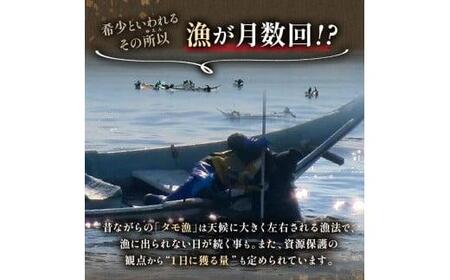 羅臼産 折うに （特上）240g（120g×2枚）北海道知床羅臼産 天然 エゾバフンうに