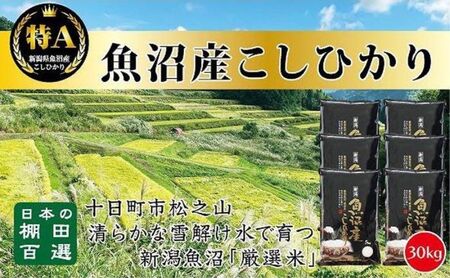【令和7年産】【食味鑑定士厳選】日本棚田百選のお米　天空の里 魚沼産 こしひかり 30kg(5kg×6)