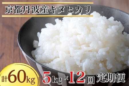 【12回定期便】白米5kg×12回 計60kg 京都丹波産キヌヒカリ 米 白米 定期便＜JA京都 たわわ朝霧＞令和6年産 米 白米 5kg 12ヶ月 定期便  毎月発送に合わせて精米