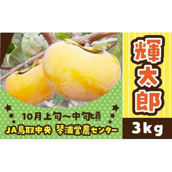 柿 輝太郎（きたろう）3kg 先行予約 数量限定 鳥取県産 柿