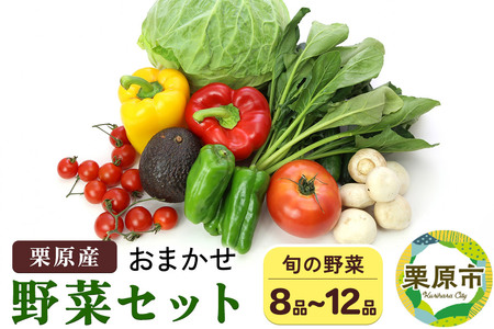 栗原産 お任せ野菜セット（8品～12品）