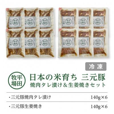 ふるさと納税 酒田市 【平田牧場】日本の米育ち◆三元豚 焼肉タレ漬け&生姜焼き2種セット計12パック(各140g×6) |  | 01