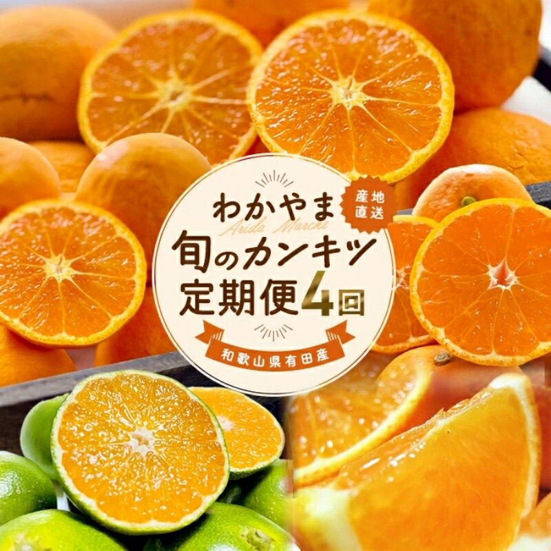 【ふるさと納税】【全4回】和歌山旬のカンキツ定期便 3・5・9・11月発送（ご家庭用）※北海道・沖縄県・離島への配送不可 / 春の柑橘 初夏の柑橘 青切り 有田みかん 完熟有田みかん フルーツ くだもの 果物