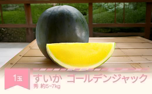【先行予約】 すいか ゴールデンジャック 1玉 5kg~7kg 2025年産 令和7年産 no-sugjx1
