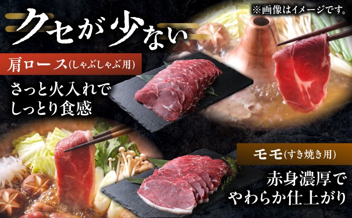 鹿肉 ジビエ肉 エゾ鹿肉 ジビエ 赤身肉 ヘルシー セット 食べ比べ 北海道