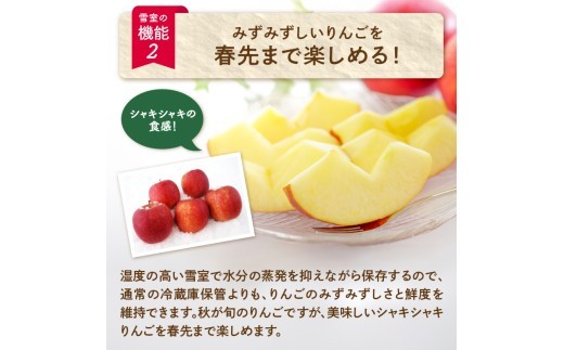 《先行受付》【2027年2月発送予定】 訳あり 雪室りんごサンふじ 約5kg【大江町産・山形りんご・大地農産】